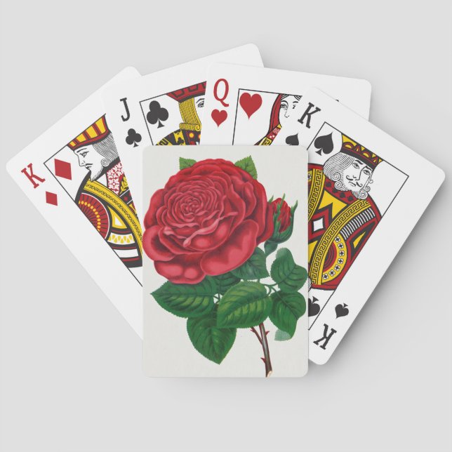 Jeu De Cartes Rose Print Rochester Lithographing and Printing Co (dos)