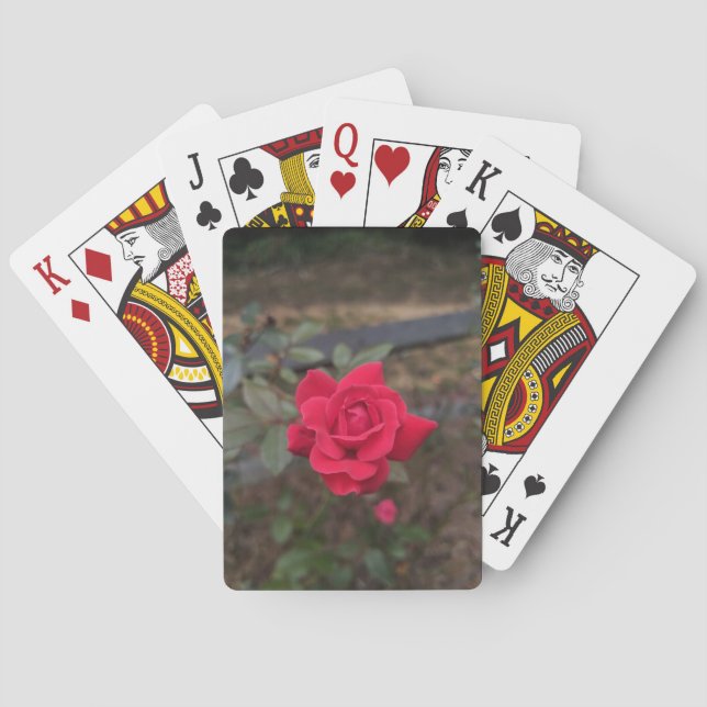 Jeu De Cartes Rose rouge (dos)