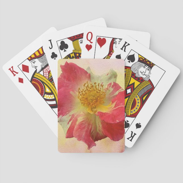 Jeu De Cartes Rose rouge et blanc (dos)