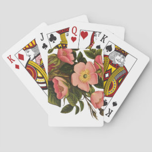 Jeu De Cartes Roses Anciennes Jolies Roses Botaniques Roses