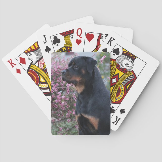Jeu De Cartes Rottweiler (dos)