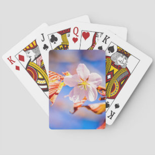 Jeu De Cartes Rouge Sakura bleu ciel