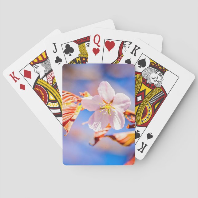 Jeu De Cartes Rouge Sakura bleu ciel (dos)