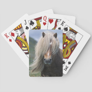 Jeu De Cartes Royaume-Uni, Écosse, îles Shetland, poney Shetland