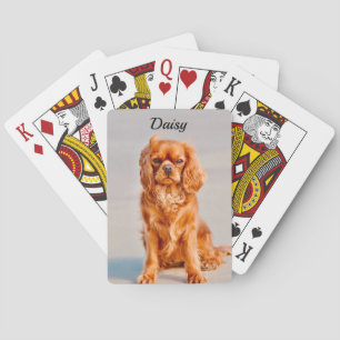 Jeu De Cartes Ruby Cavalier King Charles Spaniel Chien
