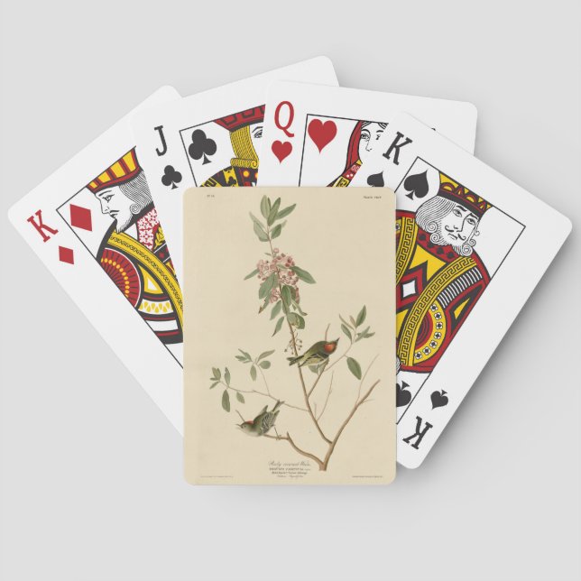 Jeu De Cartes Ruby couronné Wren (Kinglet) Audubon Birds Amériqu (dos)