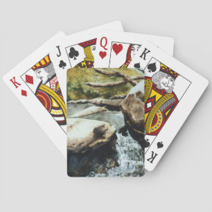 Jeu De Cartes ruisseau de truite de montagne mini cascades et pi