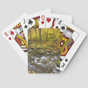 Jeu De Cartes Ruisseau Sanderson. Forêt d'État de Chester-Blanfo