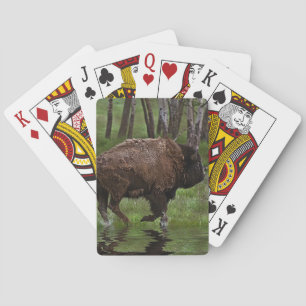 Jeu De Cartes Running Buffalo & Forest, Bison-lover's Design