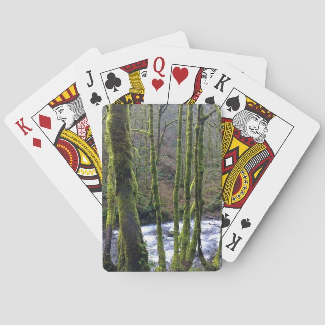 Jeu De Cartes Runoff from Bridal Veil Falls (dos)