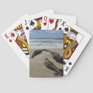 Jeu De Cartes Sables et Driftwood West Coast Landscape Beach