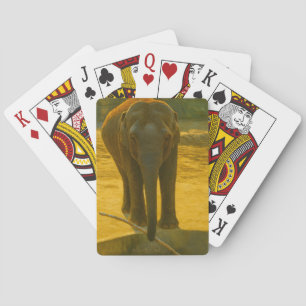 Jeu De Cartes Sagesse des éléphants d'or - faune majestueuse