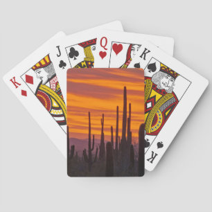 Jeu De Cartes Saguaro, coucher de soleil, Parc national de Sagua
