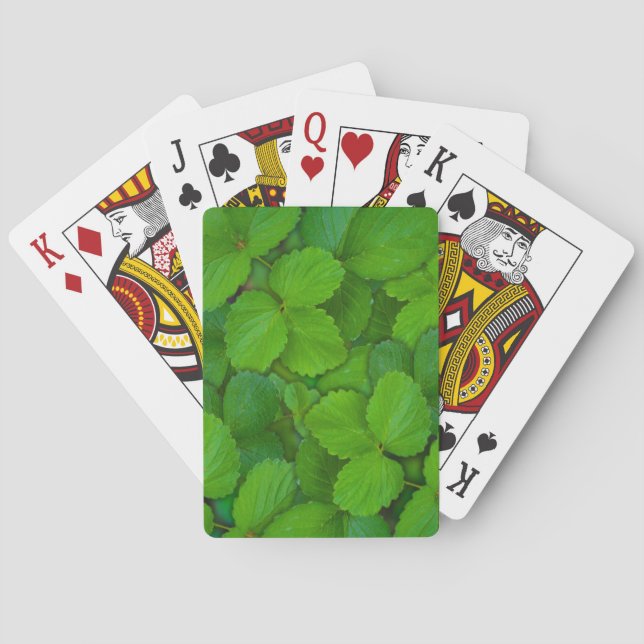 Jeu De Cartes Saint Basil Tulsi Green Mint Feuilles (dos)