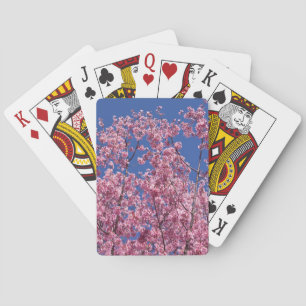 Jeu De Cartes Sakura Cerisiers en Fleur Dans Le Bleu