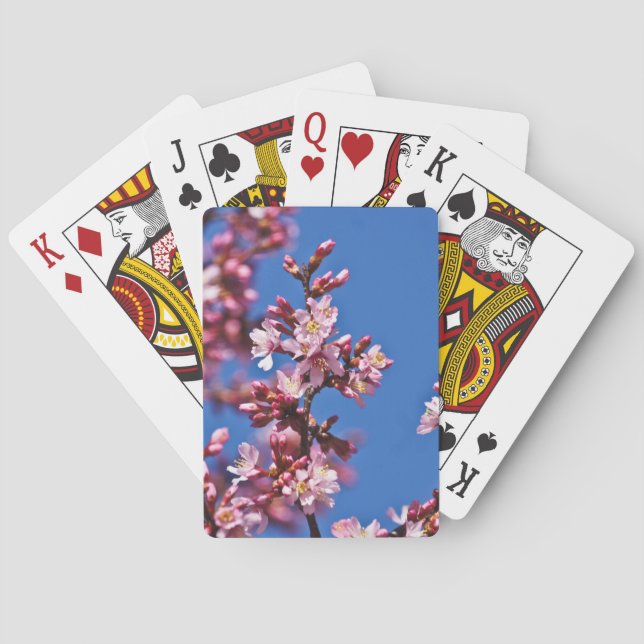 Jeu De Cartes Sakura Cherry Blossoms Touching Blue (dos)