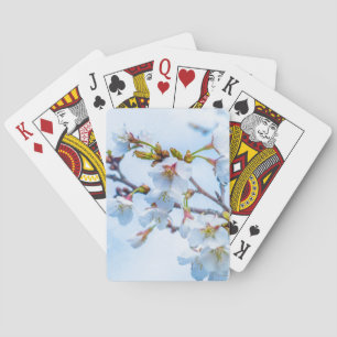 Jeu De Cartes Sakura - Fleur de cerisier japonaise