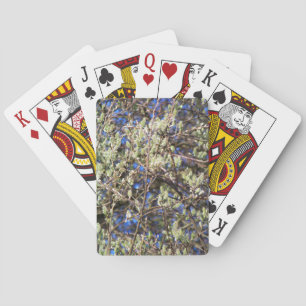 JEU DE CARTES SAULE DE PRINTEMPS