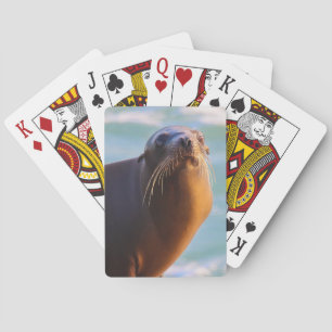 Jeu De Cartes Sceau 1 - Ce que vous regardez !