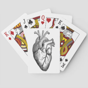 Jeu De Cartes Science de l'anatomie cardiaque