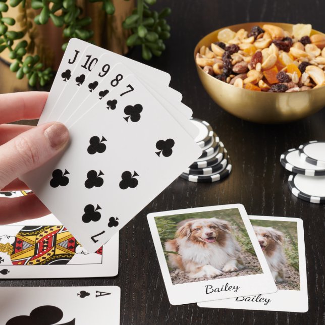 Jeu De Cartes Script de photo et de nom de animal de compagnie p (In Situ)