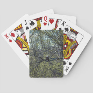 Jeu De Cartes Sensibilisation aux aigles