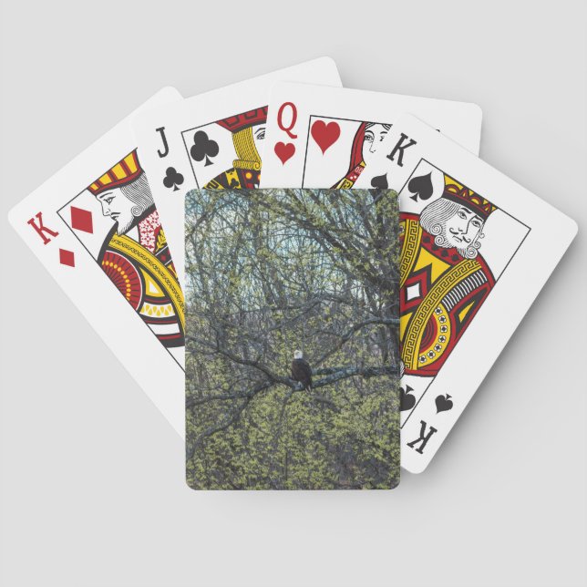 Jeu De Cartes Sensibilisation aux aigles (dos)