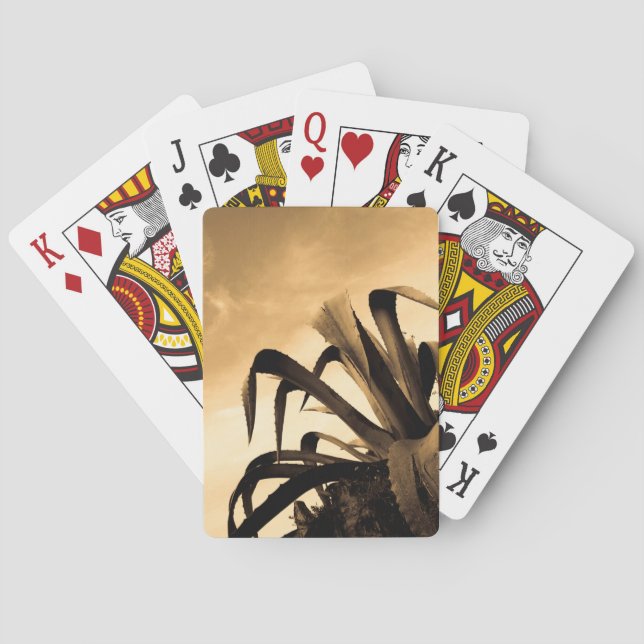 Jeu De Cartes Sepia Aloe Plante (dos)