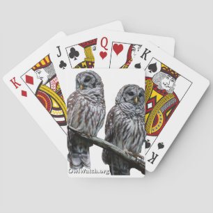 Jeu De Cartes Septembre 2014 - Chouettes de hiboux
