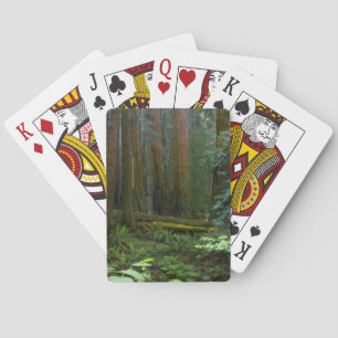 Jeu De Cartes Séquoias de Muir Woods National Monument