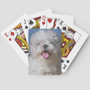 Jeu De Cartes Shaggy Poodle Chien Jouer Des Cartes