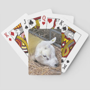 JEU DE CARTES SHEEP