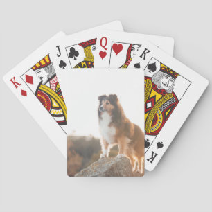 Jeu De Cartes Sheltie sur la protection de falaise entendue