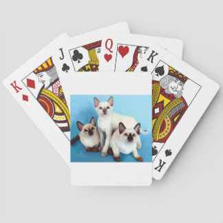 Jeu De Cartes Siamese Cats