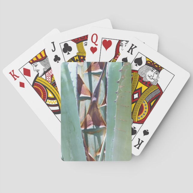 Jeu De Cartes Siècle ou Agave (dos)
