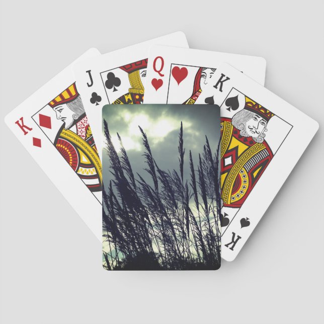 Jeu De Cartes Silence Nature Photographie (dos)