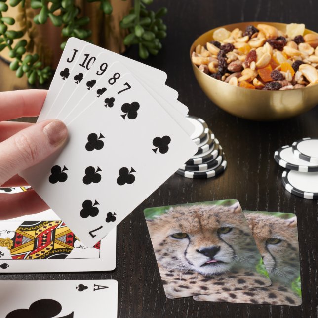 Jeu De Cartes Silencieux Cheetah Cub (In Situ)