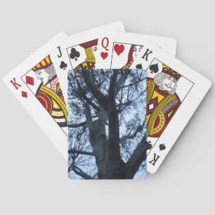 Jeu De Cartes Silhouette de l'arbre Photographie Lecture de cart
