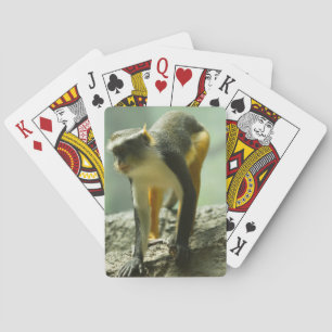 Jeu De Cartes Singe