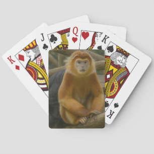 Jeu De Cartes Singe à nez serré dans le refuge des bois