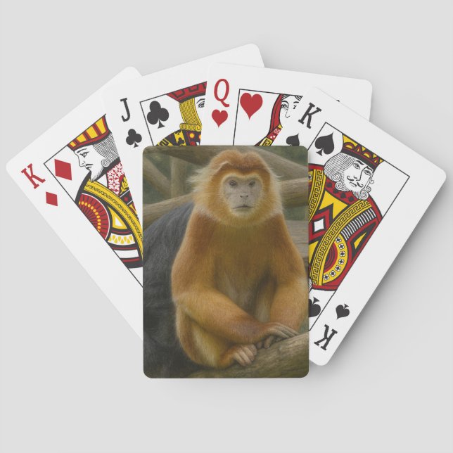 Jeu De Cartes Singe à nez serré dans le refuge des bois (dos)