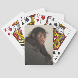 Jeu De Cartes Singe araignée à face rouge Ateles paniscus)