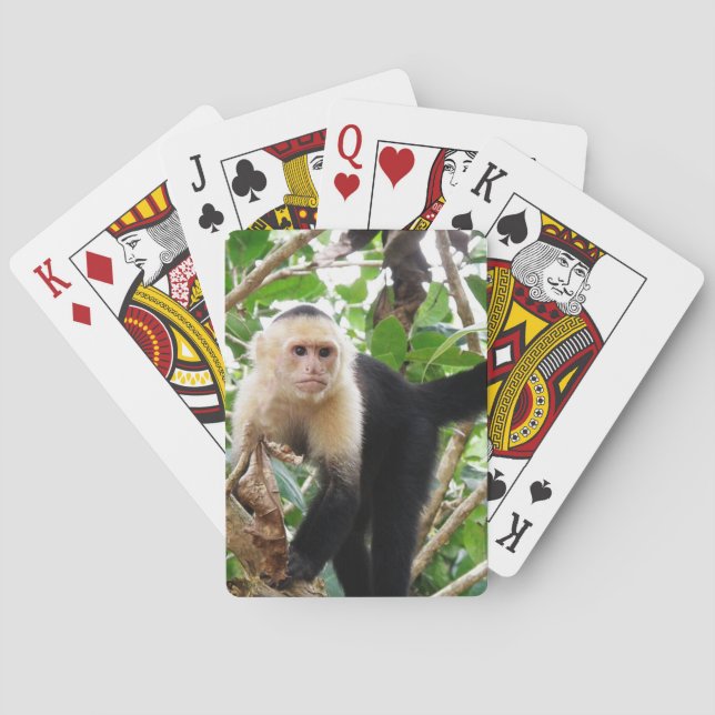 Jeu De Cartes Singe au Costa Rica (dos)