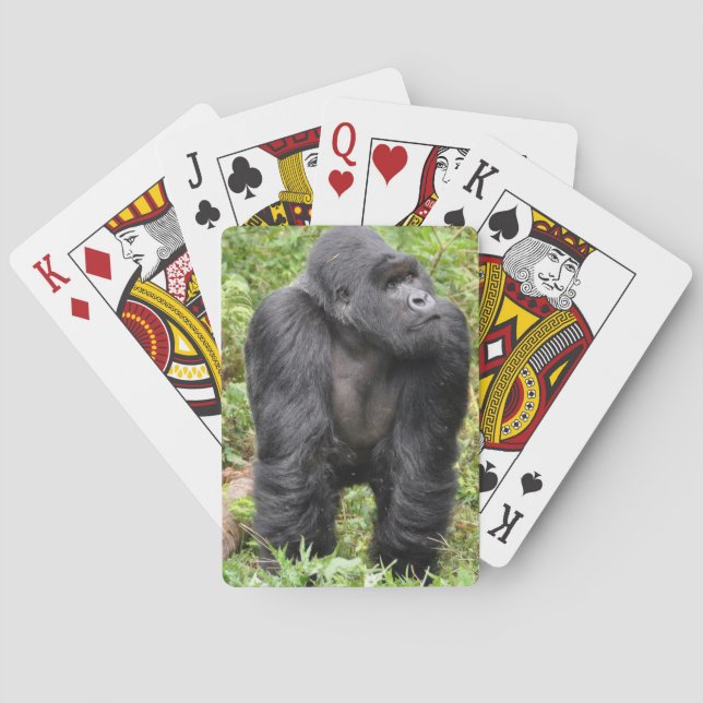Jeu De Cartes Singe heureux (dos)