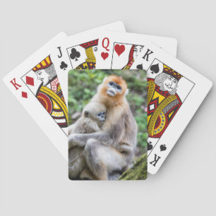 Jeu De Cartes Singe nez retroussé doré avec bébé