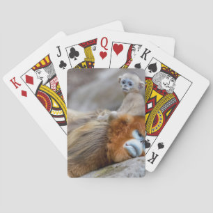 Jeu De Cartes Singe nez retroussé doré père avec bébé