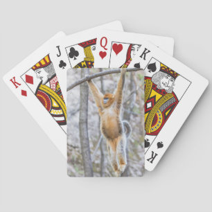 Jeu De Cartes Singe nez retroussé doré se balançant sur une bran