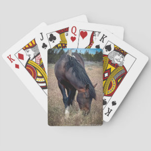 Jeu De Cartes Skeeter