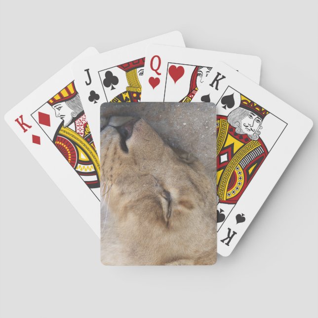 Jeu De Cartes Sleeping Lioness (dos)