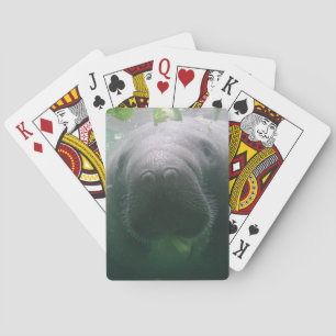 Jeu De Cartes Sloppy Manatee Bicycle Playing Cards